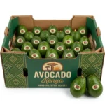Kenya Avocado Box Dubai | Buy Fresh Avocado Online