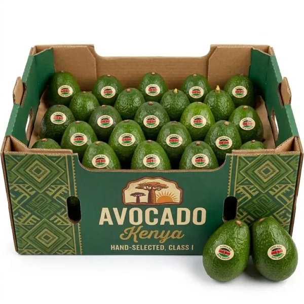 Kenya Avocado Box Dubai | Buy Fresh Avocado Online