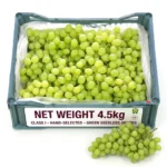 Green Seedless Grapes Box – Fresh Premium Grapes Dubai