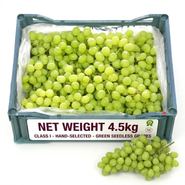 Green Seedless Grapes Box – Fresh Premium Grapes Dubai
