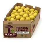 South Africa Lemon Box Dubai | Buy Fresh Lemon Online Dubai