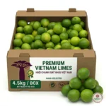 Vietnam Green Lime Box 4.5kg Dubai | Buy Fresh Lime Online Dubai