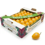 Baby Mango Colombia Box Dubai | Buy Fresh Mango Online