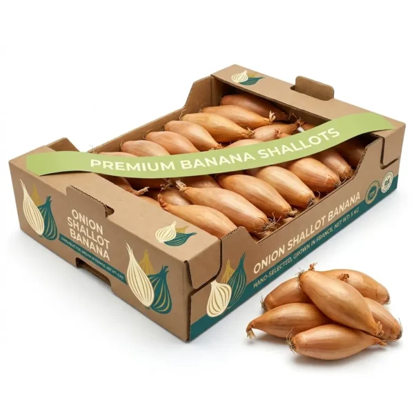 Buy Banana Shallots in Dubai | Fresh Shallot Supplier UAE