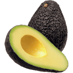 avocado 23671