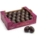 Hass Avocado Box Dubai | Buy Fresh Avocado Online