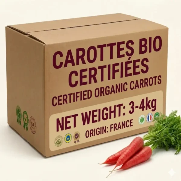 China Carrot Box Dubai