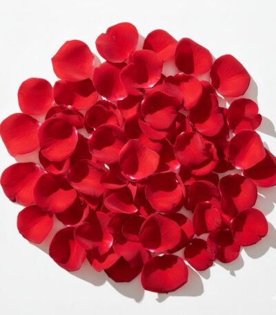 Red Rose Petals - Fresh Focus Foodstuff UAE