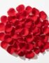 Red Rose Petals - Fresh Focus Foodstuff UAE