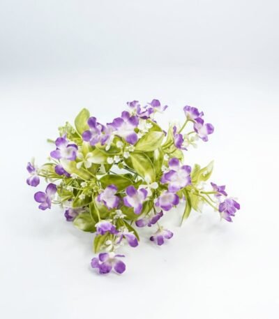 Torenia Edible Flowers - Fresh Focus Foodstuff UAE