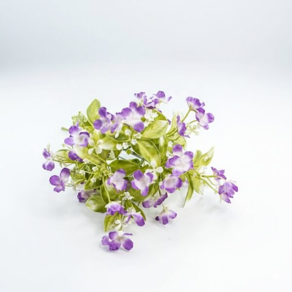 Torenia Edible Flowers - Fresh Focus Foodstuff UAE