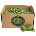 Buy Green Beans from Kenya – Fresh Vegetable Supplier Dubai
