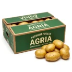 Buy Agria Potatoes in Dubai | Fresh Potato Supplier UAE