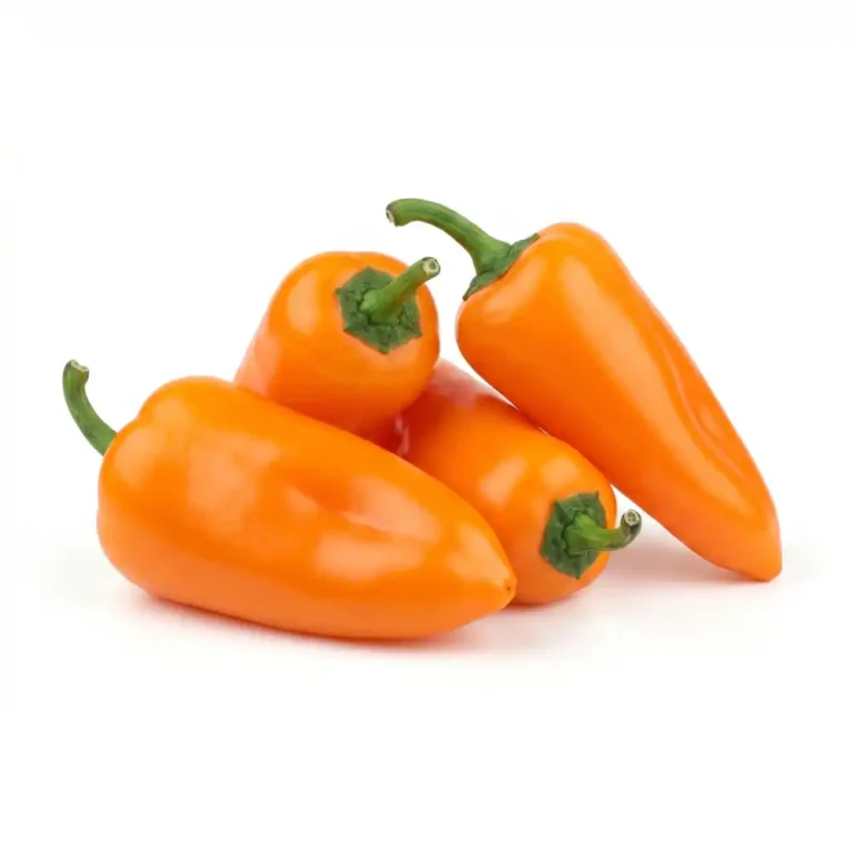 Baby Capsicum Orange