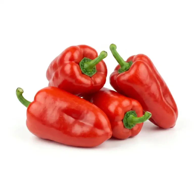 Baby Capsicum Red