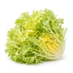 Fresh Frisée Lettuce Yellow Holland – Premium Quality Lettuce Dubai