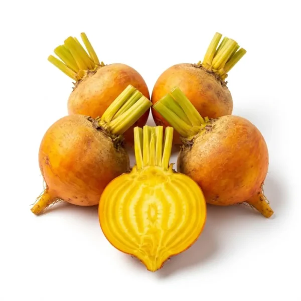 Golden Baby Beetroot – Fresh Premium Beetroot Dubai