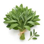 Sage Leaves – Fresh Premium Herbs Dubai