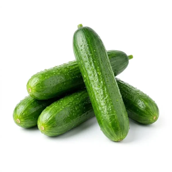 Baby Cucumber – Fresh Mini Cucumber Dubai