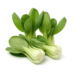 Pak Choy – Fresh Premium Bok Choy Dubai