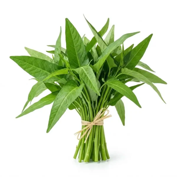 Kangkong (Water Spinach) – Fresh Asian Greens Dubai